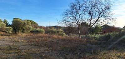 Terrain et maison à Valensole en Alpes-de-Haute-Provence (04) de 100 m² à vendre au prix de 341000€ - 4