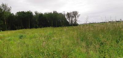 Terrain à Billy-Montigny en Pas-de-Calais (62) de 780 m² à vendre au prix de 97690€ - 1