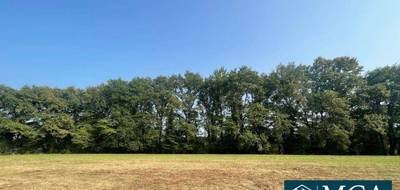 Terrain à Vielle-Tursan en Landes (40) de 2500 m² à vendre au prix de 49000€ - 1