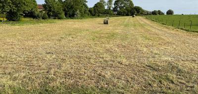 Terrain à Douchy-lès-Ayette en Pas-de-Calais (62) de 4000 m² à vendre au prix de 120000€ - 2