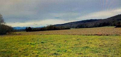 Terrain à Oursbelille en Hautes-Pyrénées (65) de 913 m² à vendre au prix de 57000€ - 3