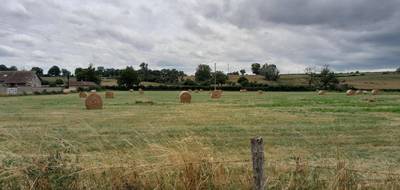 Terrain et maison à Diou en Allier (03) de 96 m² à vendre au prix de 188250€ - 4