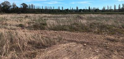 Terrain à Coursan en Aude (11) de 299 m² à vendre au prix de 84900€ - 1