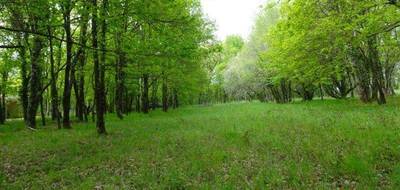 Terrain à Cartelègue en Gironde (33) de 1950 m² à vendre au prix de 58500€ - 2