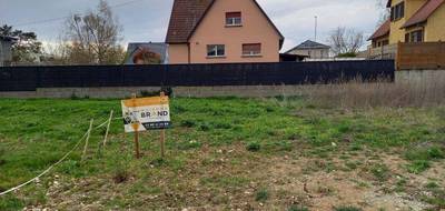 Terrain et maison à Wolfgantzen en Haut-Rhin (68) de 96 m² à vendre au prix de 363900€ - 4