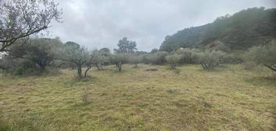 Terrain à Gonfaron en Var (83) de 586 m² à vendre au prix de 125000€ - 2