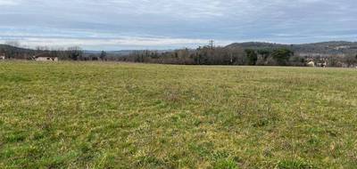 Terrain à Le Buisson-de-Cadouin en Dordogne (24) de 1000 m² à vendre au prix de 25000€ - 3