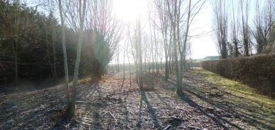 Terrain à Châtillon-sur-Morin en Marne (51) de 1591 m² à vendre au prix de 50000€ - 1