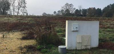 Terrain à Saint-Martin-d'Oney en Landes (40) de 721 m² à vendre au prix de 58343€ - 1