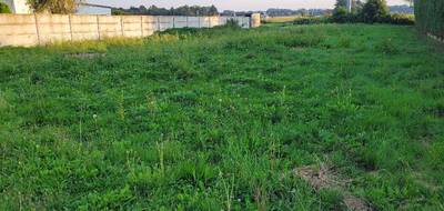 Terrain à Ardres en Pas-de-Calais (62) de 1000 m² à vendre au prix de 64000€ - 1