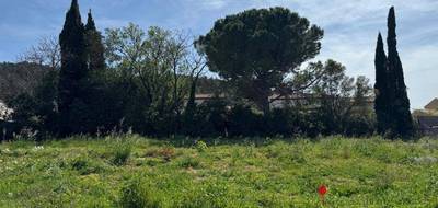 Terrain à La Crau en Var (83) de 800 m² à vendre au prix de 370000€ - 1