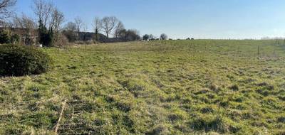 Terrain à Douchy-lès-Ayette en Pas-de-Calais (62) de 4000 m² à vendre au prix de 120000€ - 4