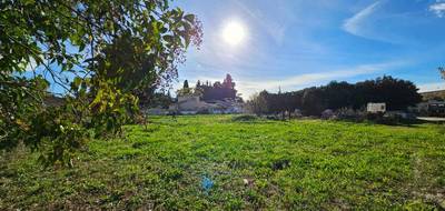 Terrain et maison à Cheval-Blanc en Vaucluse (84) de 90 m² à vendre au prix de 360000€ - 4