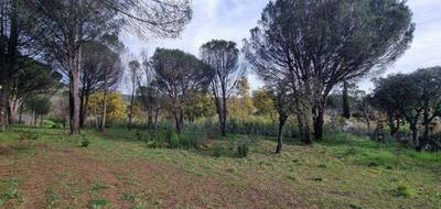 Terrain à Grimaud en Var (83) de 1040 m² à vendre au prix de 510000€ - 4