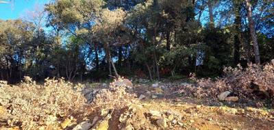 Terrain à Tourves en Var (83) de 500 m² à vendre au prix de 135000€ - 3