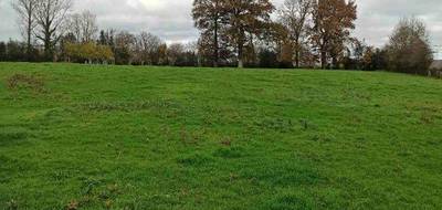 Terrain à Campagne-lès-Boulonnais en Pas-de-Calais (62) de 1785 m² à vendre au prix de 55980€ - 1