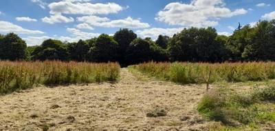 Terrain et maison à Peyrilhac en Haute-Vienne (87) de 105 m² à vendre au prix de 215100€ - 4