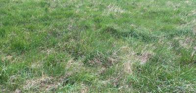 Terrain à Peyrillac-et-Millac en Dordogne (24) de 5000 m² à vendre au prix de 80000€ - 1