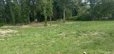 Terrain à Magnac-sur-Touvre en Charente (16) de 1000 m² à vendre au prix de 80000€ - 2