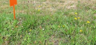 Terrain et maison à Givrand en Vendée (85) de 60 m² à vendre au prix de 194282€ - 4