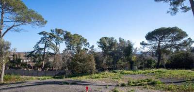 Terrain et maison à Cournonsec en Hérault (34) de 120 m² à vendre au prix de 617000€ - 3