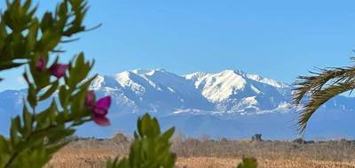 Terrain et maison à Corneilla-de-Conflent en Pyrénées-Orientales (66) de 115 m² à vendre au prix de 314000€ - 4