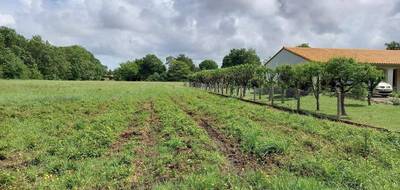 Terrain et maison à Saujon en Charente-Maritime (17) de 75 m² à vendre au prix de 195576€ - 3