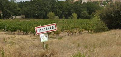 Terrain à Magalas en Hérault (34) de 300 m² à vendre au prix de 82000€ - 4