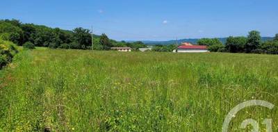 Terrain à Bonrepos en Hautes-Pyrénées (65) de 2589 m² à vendre au prix de 32500€ - 4