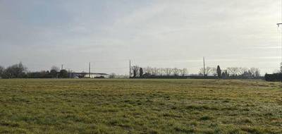 Terrain et maison à Sillery en Marne (51) de 93 m² à vendre au prix de 265807€ - 3