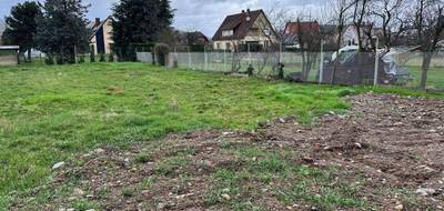 Terrain et maison à Turckheim en Haut-Rhin (68) de 163 m² à vendre au prix de 698068€ - 3