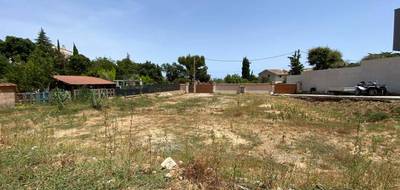 Terrain à Fréjus en Var (83) de 787 m² à vendre au prix de 442000€ - 3