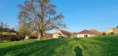 Terrain et maison à Eschentzwiller en Haut-Rhin (68) de 100 m² à vendre au prix de 471000€ - 4