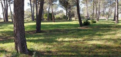 Terrain à Puget-sur-Argens en Var (83) de 5558 m² à vendre au prix de 520000€ - 4