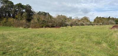 Terrain à Montagnac-la-Crempse en Dordogne (24) de 2000 m² à vendre au prix de 28000€ - 2