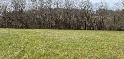 Terrain à Carlux en Dordogne (24) de 2573 m² à vendre au prix de 35000€ - 1