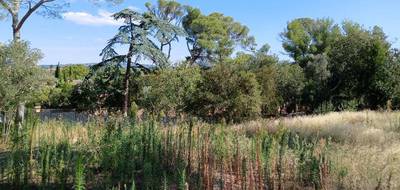 Terrain et maison à Cournonsec en Hérault (34) de 110 m² à vendre au prix de 584990€ - 4