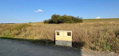 Terrain à Beyren-lès-Sierck en Moselle (57) de 242 m² à vendre au prix de 82280€ - 2