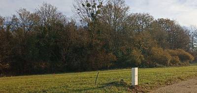 Terrain et maison à Landeronde en Vendée (85) de 90 m² à vendre au prix de 206810€ - 4