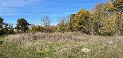 Terrain à Sainte-Nathalène en Dordogne (24) de 1451 m² à vendre au prix de 29000€ - 4