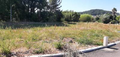 Terrain à Carnoules en Var (83) de 342 m² à vendre au prix de 130000€ - 3