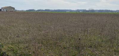 Terrain à Archingeay en Charente-Maritime (17) de 715 m² à vendre au prix de 65000€ - 1