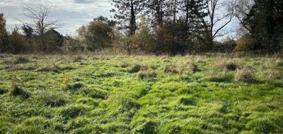 Terrain à Pineuilh en Gironde (33) de 1300 m² à vendre au prix de 52000€ - 2