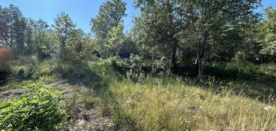 Terrain à Flayosc en Var (83) de 1000 m² à vendre au prix de 135000€ - 1