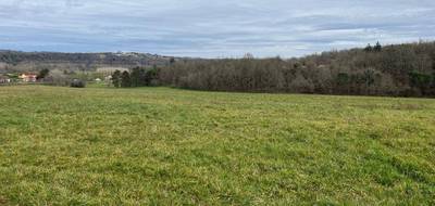 Terrain à Le Buisson-de-Cadouin en Dordogne (24) de 1000 m² à vendre au prix de 25000€ - 1