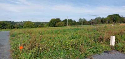 Terrain et maison à Chaumont-sur-Loire en Loir-et-Cher (41) de 78 m² à vendre au prix de 193857€ - 4