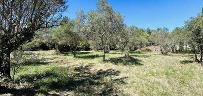 Terrain à Lorgues en Var (83) de 750 m² à vendre au prix de 170000€ - 3