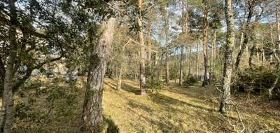 Terrain à Plan-d'Aups-Sainte-Baume en Var (83) de 160 m² à vendre au prix de 124000€ - 4