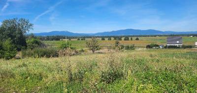 Terrain et maison à Galfingue en Haut-Rhin (68) de 187 m² à vendre au prix de 731000€ - 3