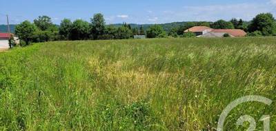 Terrain à Bonrepos en Hautes-Pyrénées (65) de 2326 m² à vendre au prix de 29600€ - 2